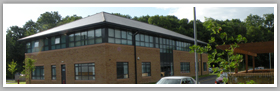 Cefn coed